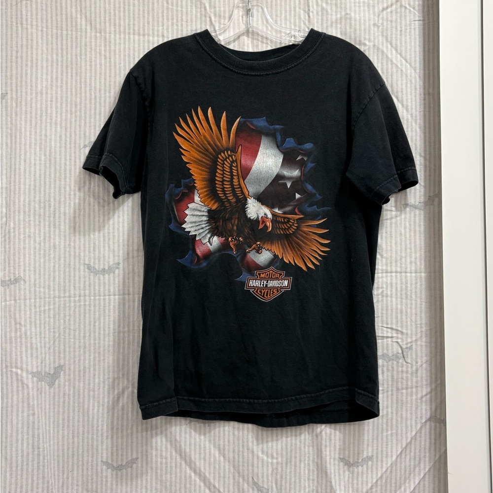 ITEM#79 Vintage HARLEY-DAVIDSON Black 2004 Grand Canyon Graphic T-Shirt M 20x26